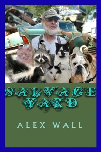 Wall salvage yard - wall,