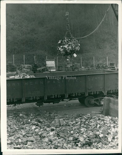1945 tin cans salvage yard - cans,