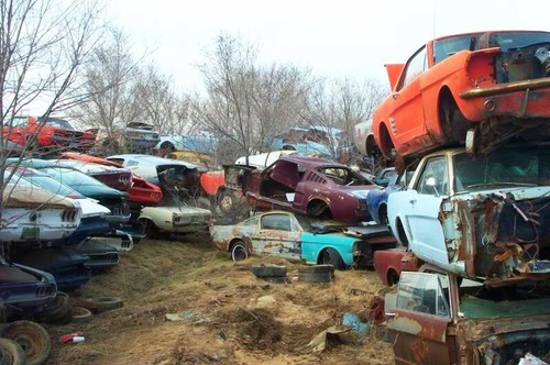 1960s and 70s - , mustang